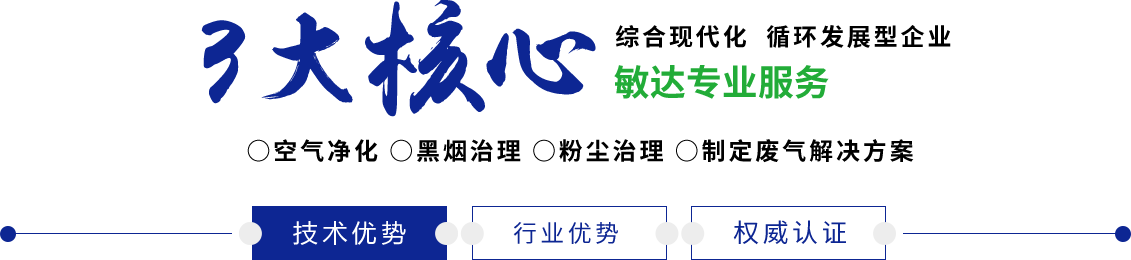 18禁100y'y'y敏达环保科技（嘉兴）有限公司